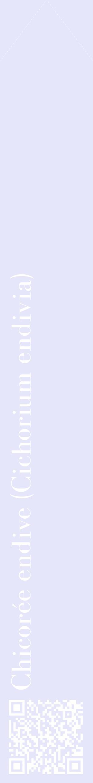 Étiquette de : Cichorium endivia - format c - style blanche55_simplebod avec qrcode et comestibilité