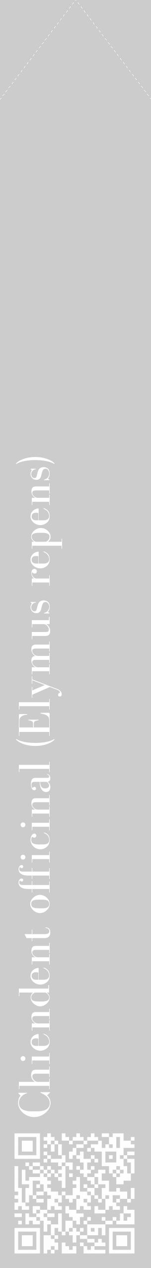 Étiquette de : Elymus repens - format c - style blanche0_simple_simplebod avec qrcode et comestibilité - position verticale