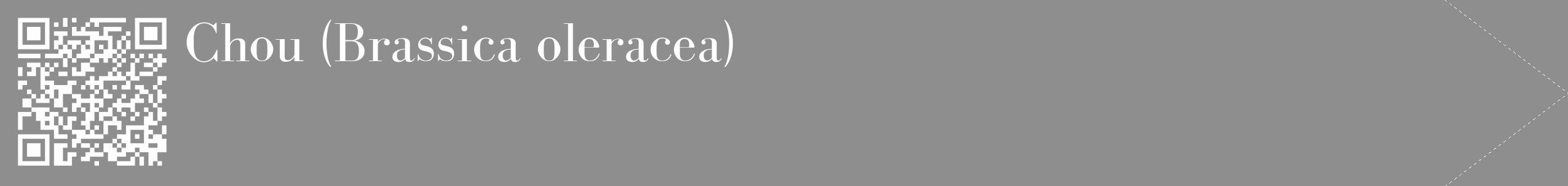 Étiquette de : Brassica oleracea - format c - style blanche25_simple_simplebod avec qrcode et comestibilité