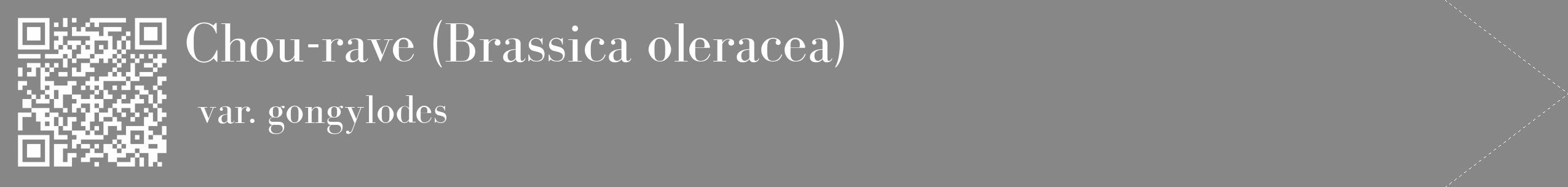 Étiquette de : Brassica oleracea var. gongylodes - format c - style blanche12_simple_simplebod avec qrcode et comestibilité