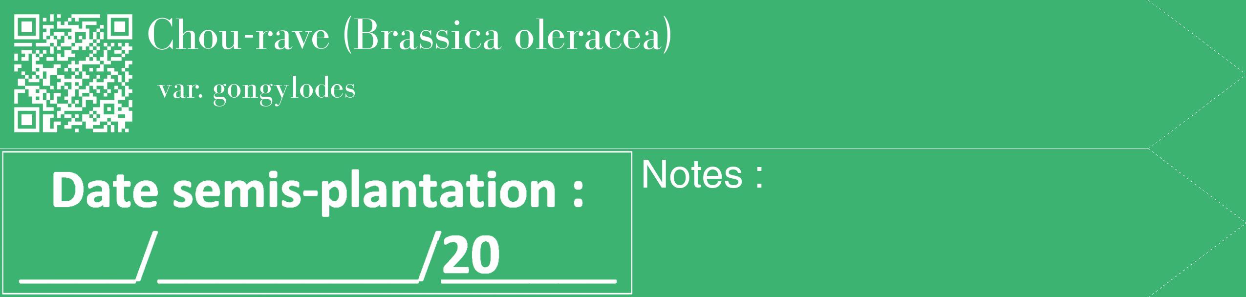 Étiquette de : Brassica oleracea var. gongylodes - format c - style blanche12_simple_simplebod avec qrcode et comestibilité