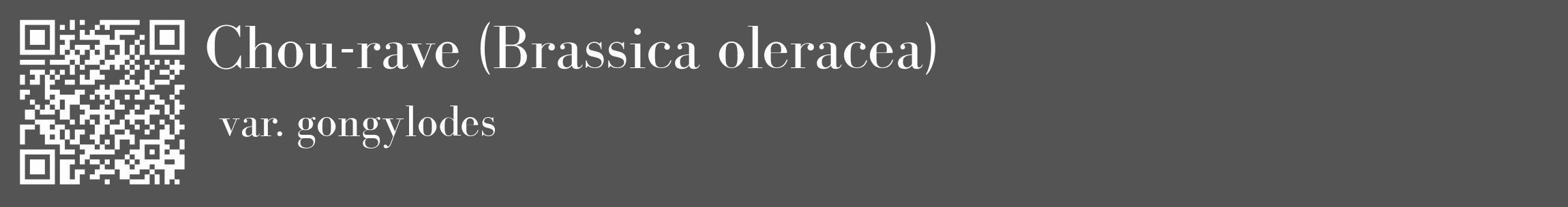 Étiquette de : Brassica oleracea var. gongylodes - format c - style blanche36_basique_basiquebod avec qrcode et comestibilité