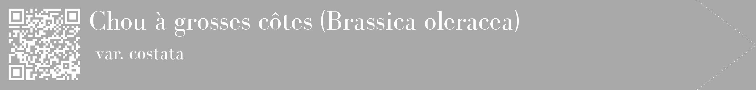 Étiquette de : Brassica oleracea var. costata - format c - style blanche13_simple_simplebod avec qrcode et comestibilité