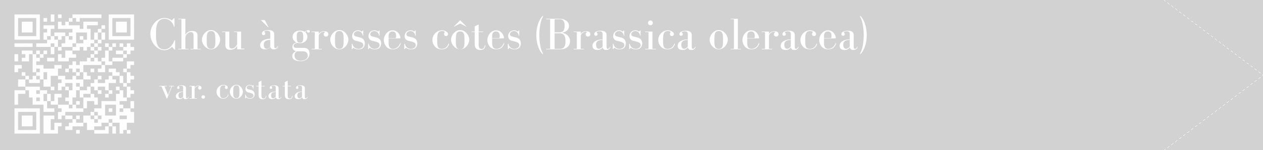 Étiquette de : Brassica oleracea var. costata - format c - style blanche14_simple_simplebod avec qrcode et comestibilité