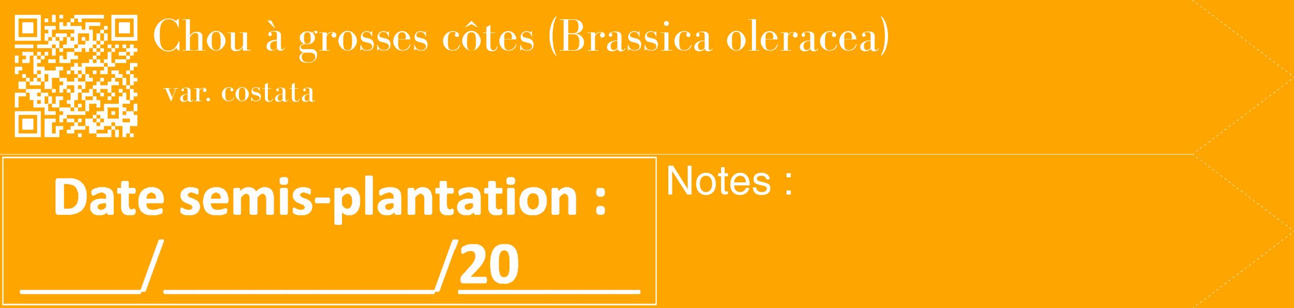 Étiquette de : Brassica oleracea var. costata - format c - style blanche22_simple_simplebod avec qrcode et comestibilité