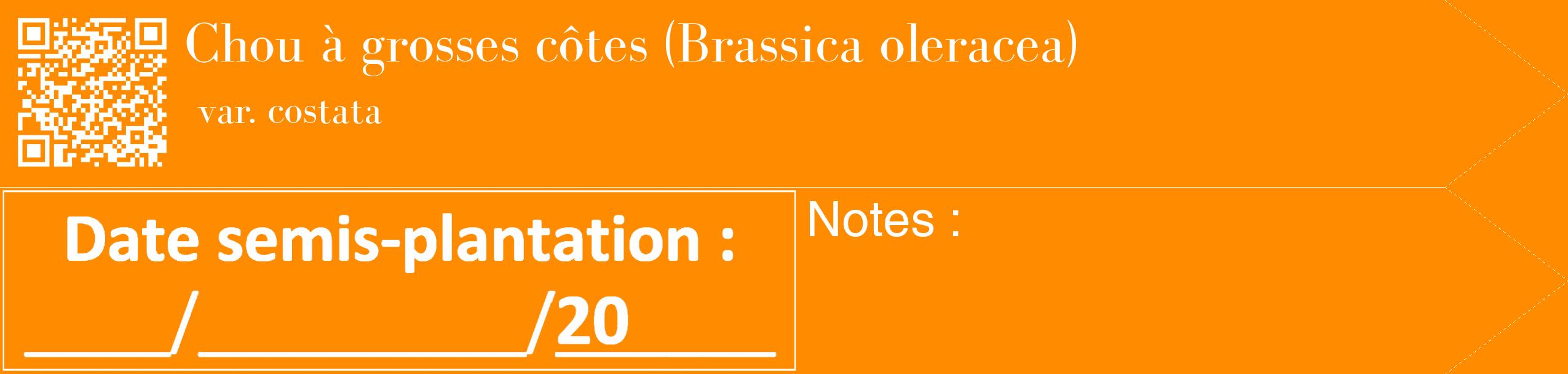Étiquette de : Brassica oleracea var. costata - format c - style blanche23_simple_simplebod avec qrcode et comestibilité