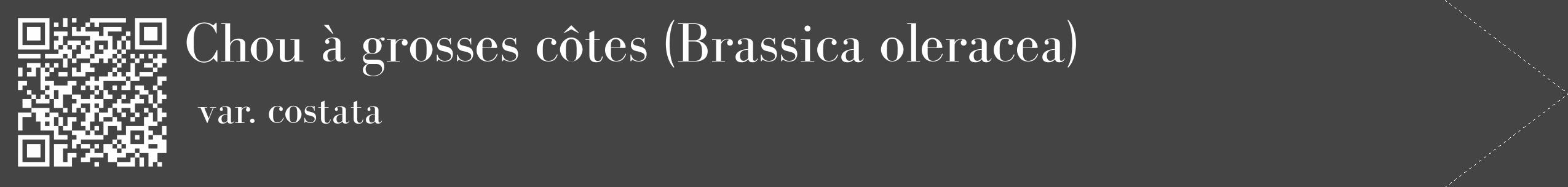 Étiquette de : Brassica oleracea var. costata - format c - style blanche48_simple_simplebod avec qrcode et comestibilité