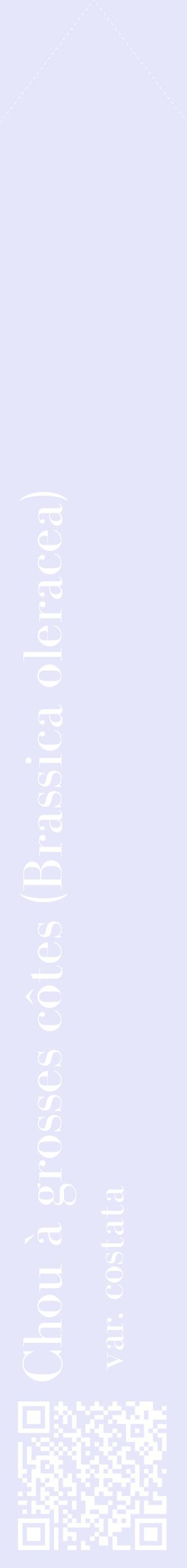 Étiquette de : Brassica oleracea var. costata - format c - style blanche55_simplebod avec qrcode et comestibilité