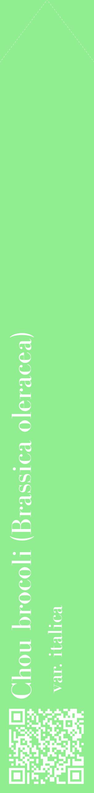 Étiquette de : Brassica oleracea var. italica - format c - style blanche15_simplebod avec qrcode et comestibilité