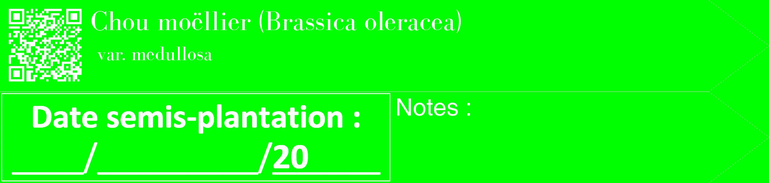 Étiquette de : Brassica oleracea var. medullosa - format c - style blanche16_simple_simplebod avec qrcode et comestibilité
