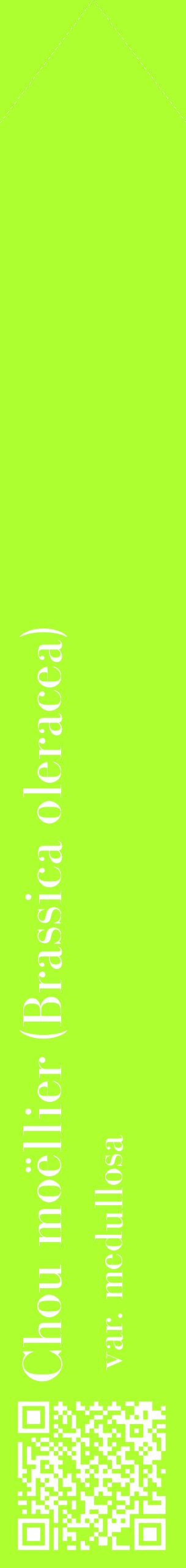 Étiquette de : Brassica oleracea var. medullosa - format c - style blanche17_simplebod avec qrcode et comestibilité