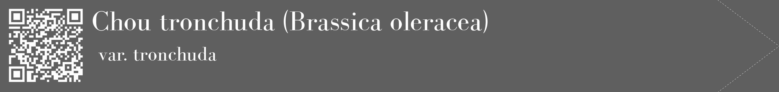 Étiquette de : Brassica oleracea var. tronchuda - format c - style blanche10_simple_simplebod avec qrcode et comestibilité
