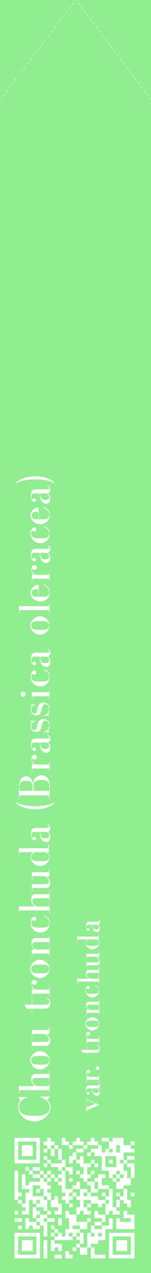 Étiquette de : Brassica oleracea var. tronchuda - format c - style blanche15_simplebod avec qrcode et comestibilité