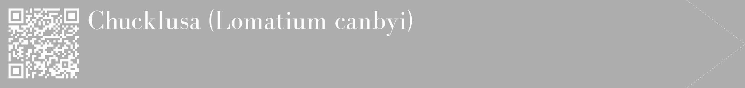 Étiquette de : Lomatium canbyi - format c - style blanche22_simple_simplebod avec qrcode et comestibilité