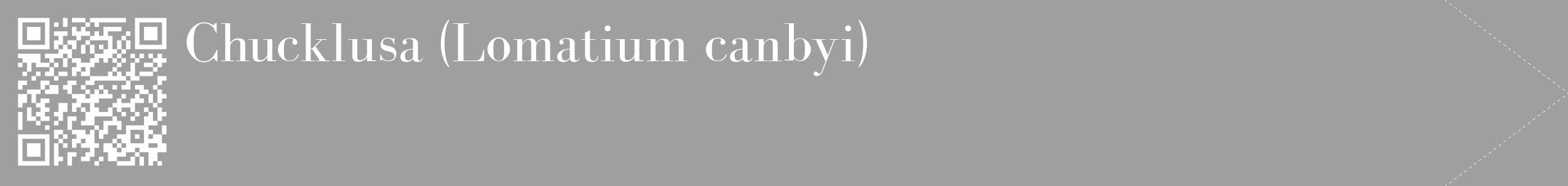 Étiquette de : Lomatium canbyi - format c - style blanche24_simple_simplebod avec qrcode et comestibilité