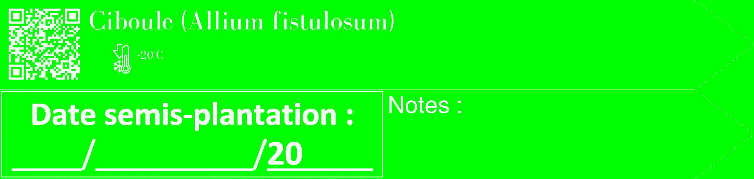 Étiquette de : Allium fistulosum - format c - style blanche16_simple_simplebod avec qrcode et comestibilité