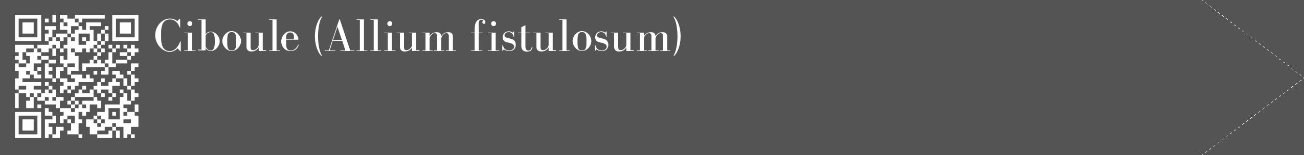 Étiquette de : Allium fistulosum - format c - style blanche36_simple_simplebod avec qrcode et comestibilité