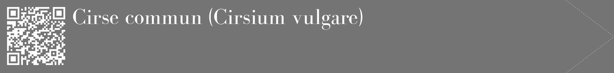 Étiquette de : Cirsium vulgare - format c - style blanche26_simple_simplebod avec qrcode et comestibilité