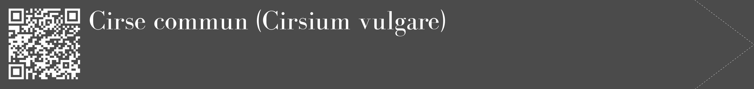 Étiquette de : Cirsium vulgare - format c - style blanche9_simple_simplebod avec qrcode et comestibilité