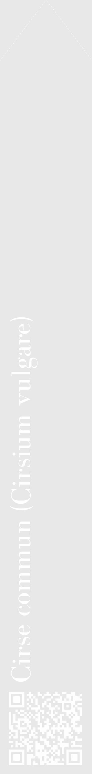 Étiquette de : Cirsium vulgare - format c - style blanche55_simple_simplebod avec qrcode et comestibilité - position verticale