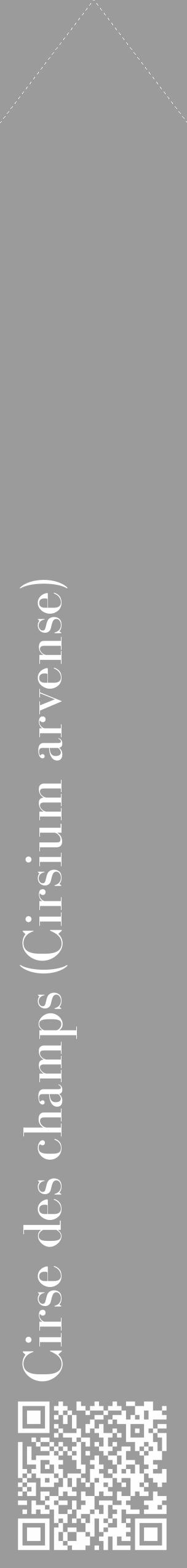 Étiquette de : Cirsium arvense - format c - style blanche52_simple_simplebod avec qrcode et comestibilité - position verticale