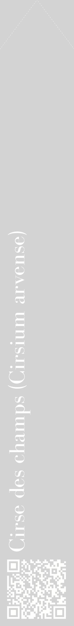 Étiquette de : Cirsium arvense - format c - style blanche56_simplebod avec qrcode et comestibilité