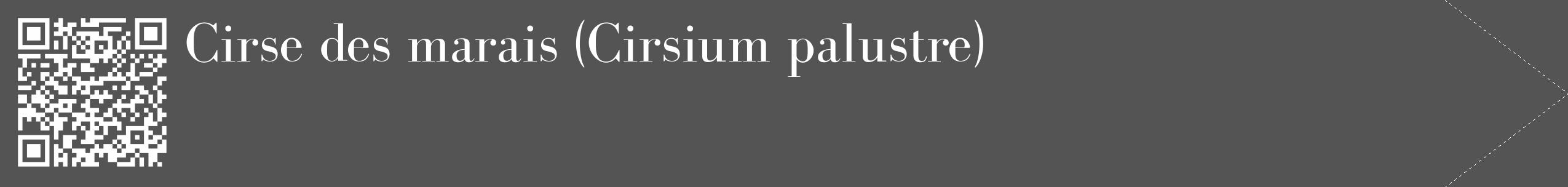 Étiquette de : Cirsium palustre - format c - style blanche30_simple_simplebod avec qrcode et comestibilité