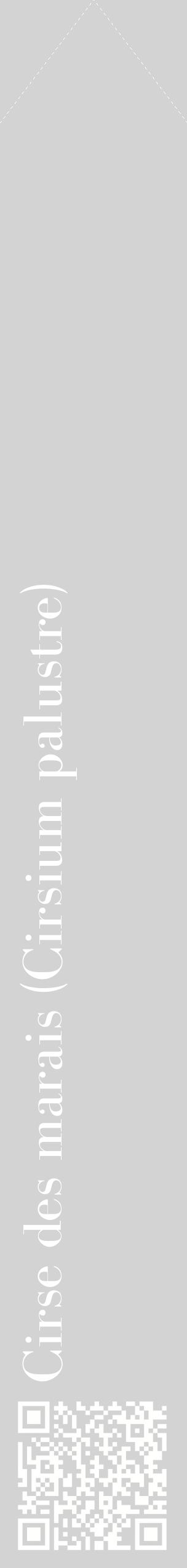 Étiquette de : Cirsium palustre - format c - style blanche56_simplebod avec qrcode et comestibilité