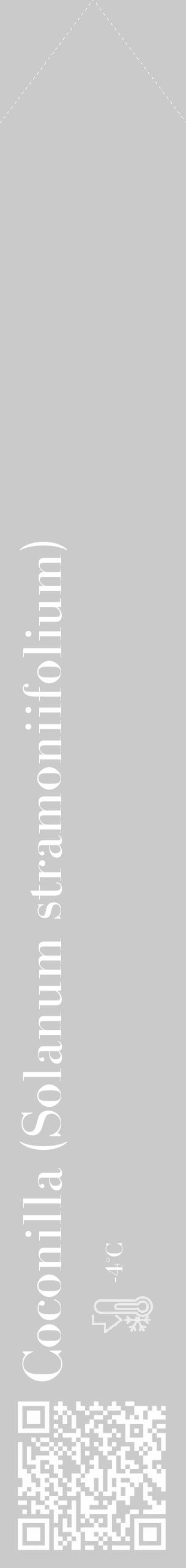 Étiquette de : Solanum stramoniifolium - format c - style blanche21_simple_simplebod avec qrcode et comestibilité - position verticale