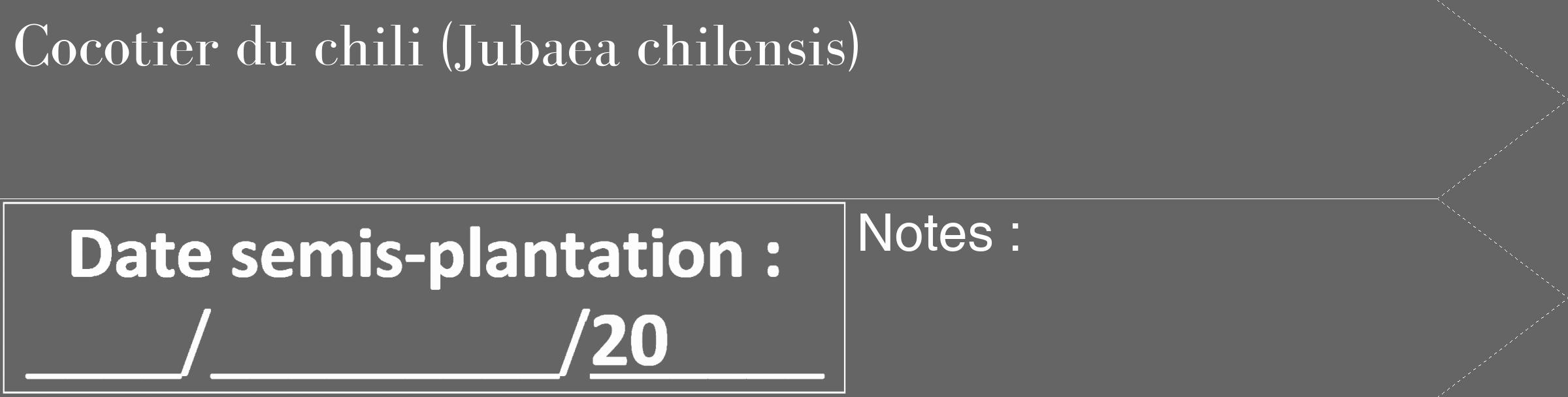 Étiquette de : Jubaea chilensis - format c - style blanche32_simple_simplebod avec comestibilité
