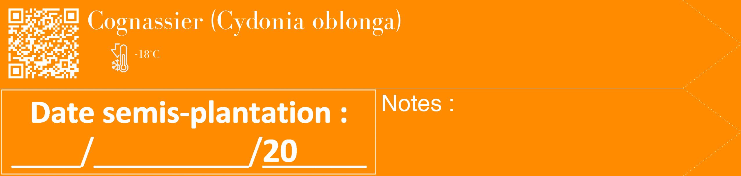 Étiquette de : Cydonia oblonga - format c - style blanche23_simple_simplebod avec qrcode et comestibilité