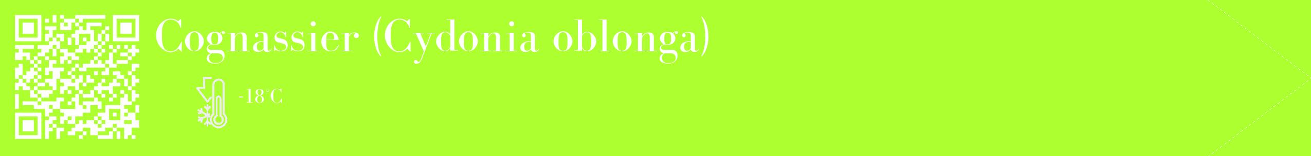 Étiquette de : Cydonia oblonga - format c - style blanche17_simple_simplebod avec qrcode et comestibilité