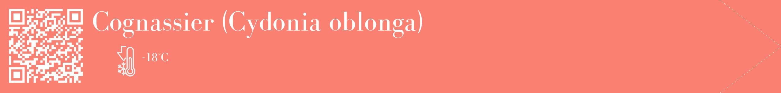 Étiquette de : Cydonia oblonga - format c - style blanche38_simple_simplebod avec qrcode et comestibilité