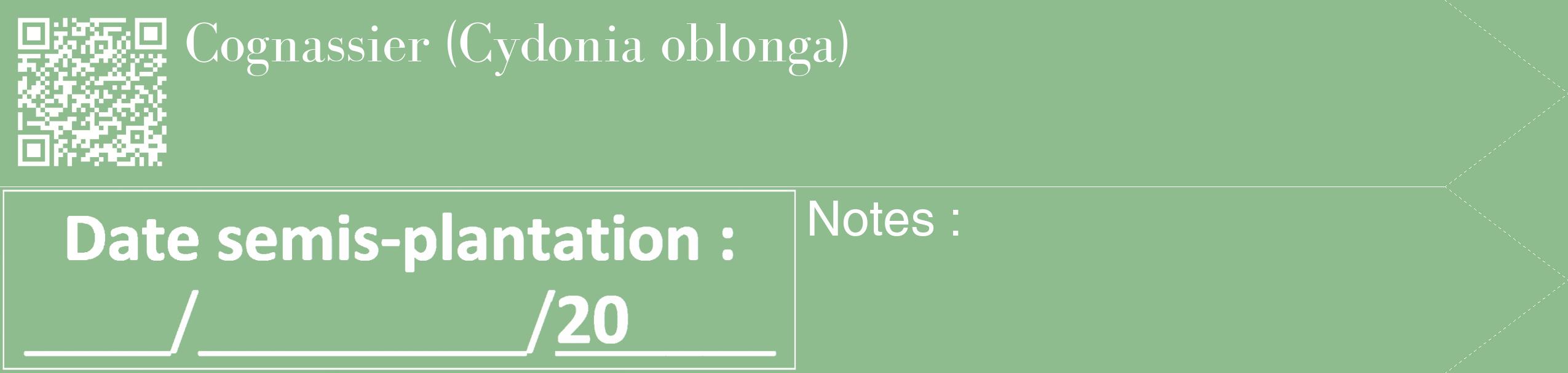 Étiquette de : Cydonia oblonga - format c - style blanche13_simple_simplebod avec qrcode et comestibilité