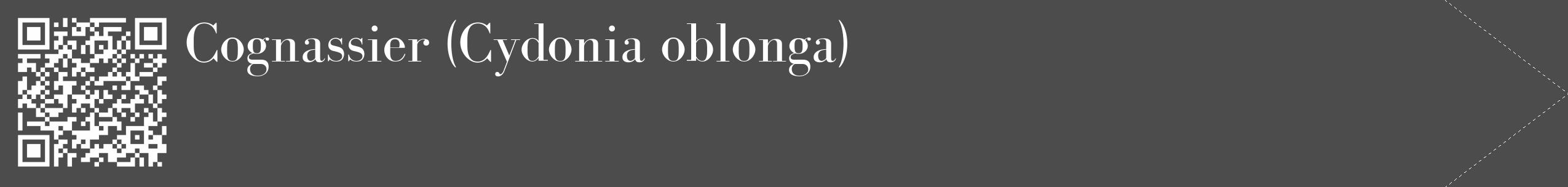 Étiquette de : Cydonia oblonga - format c - style blanche27_simple_simplebod avec qrcode et comestibilité