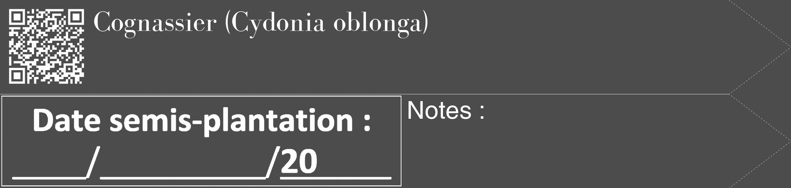 Étiquette de : Cydonia oblonga - format c - style blanche27_simple_simplebod avec qrcode et comestibilité