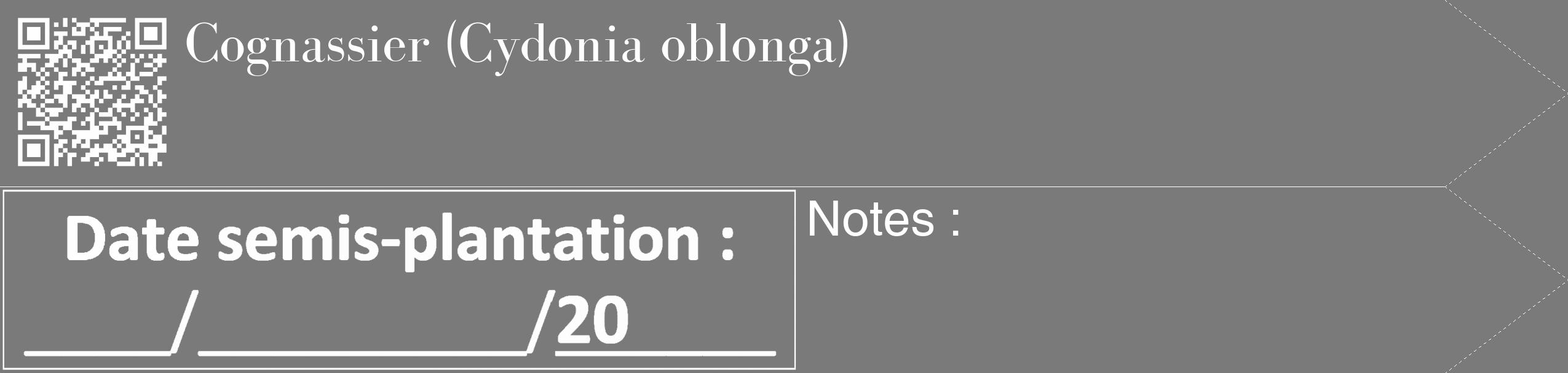 Étiquette de : Cydonia oblonga - format c - style blanche3_simple_simplebod avec qrcode et comestibilité