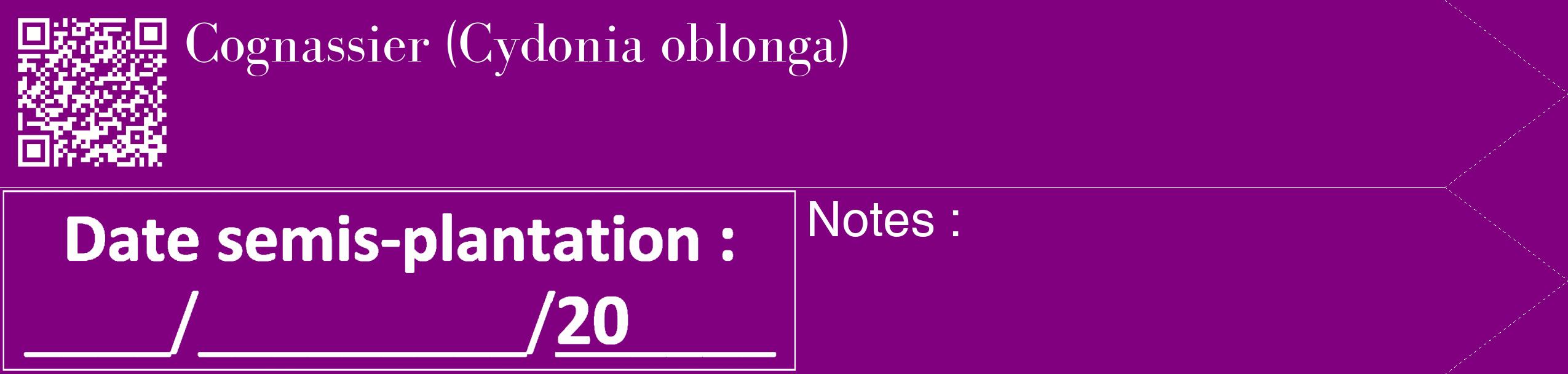 Étiquette de : Cydonia oblonga - format c - style blanche46_simple_simplebod avec qrcode et comestibilité