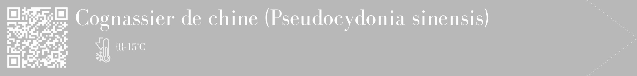 Étiquette de : Pseudocydonia sinensis - format c - style blanche39_simple_simplebod avec qrcode et comestibilité