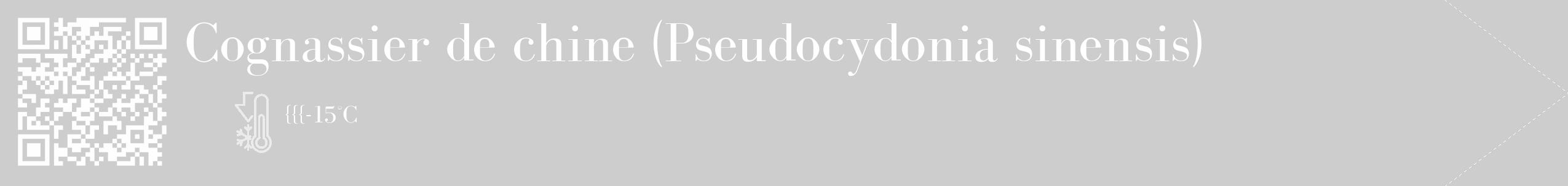 Étiquette de : Pseudocydonia sinensis - format c - style blanche41_simple_simplebod avec qrcode et comestibilité