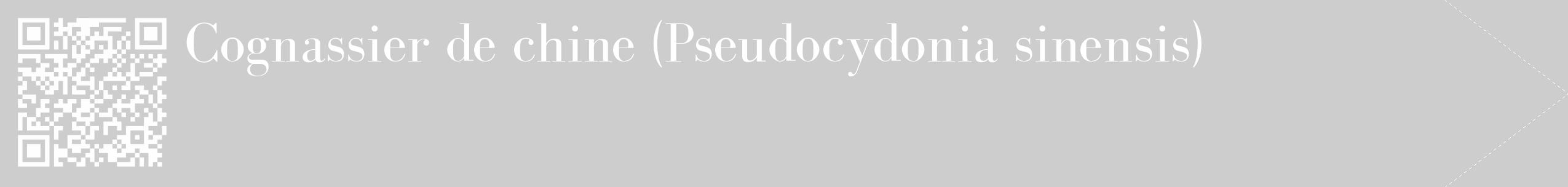 Étiquette de : Pseudocydonia sinensis - format c - style blanche41_simple_simplebod avec qrcode et comestibilité