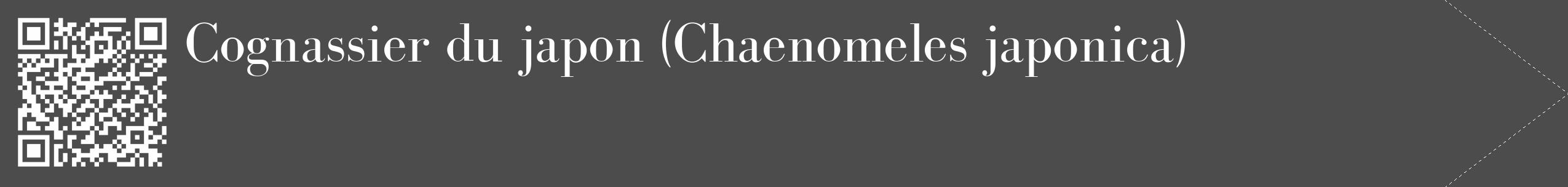 Étiquette de : Chaenomeles japonica - format c - style blanche27_simple_simplebod avec qrcode et comestibilité