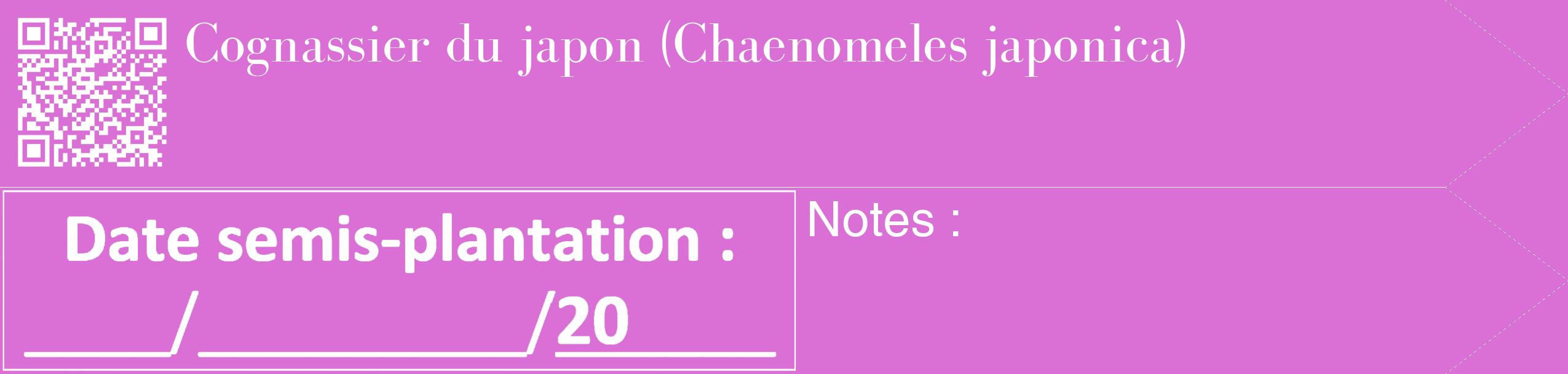 Étiquette de : Chaenomeles japonica - format c - style blanche52_simple_simplebod avec qrcode et comestibilité