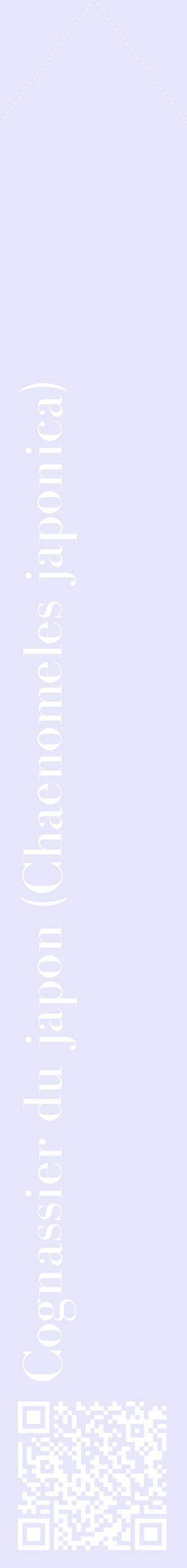 Étiquette de : Chaenomeles japonica - format c - style blanche55_simplebod avec qrcode et comestibilité