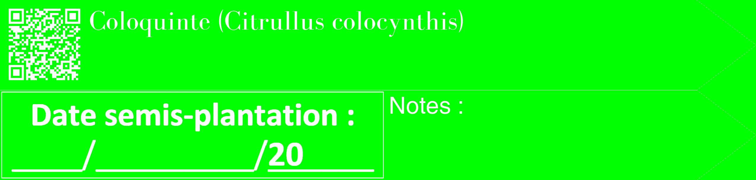 Étiquette de : Citrullus colocynthis - format c - style blanche16_simple_simplebod avec qrcode et comestibilité