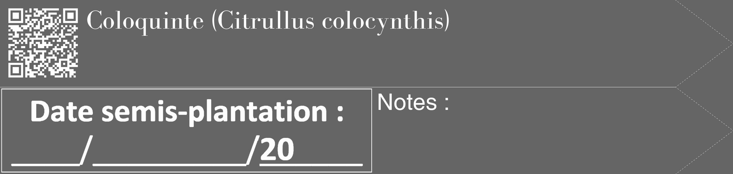 Étiquette de : Citrullus colocynthis - format c - style blanche32_simple_simplebod avec qrcode et comestibilité