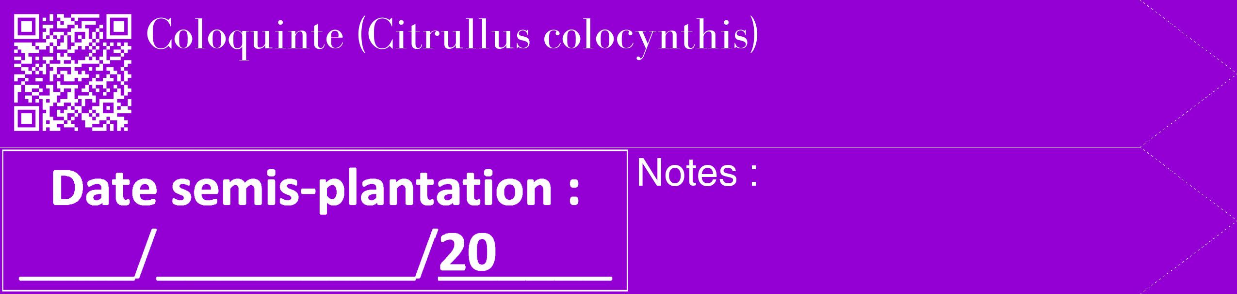 Étiquette de : Citrullus colocynthis - format c - style blanche48_simple_simplebod avec qrcode et comestibilité
