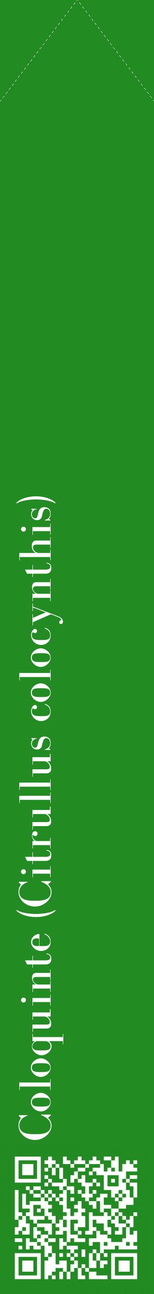Étiquette de : Citrullus colocynthis - format c - style blanche10_simplebod avec qrcode et comestibilité