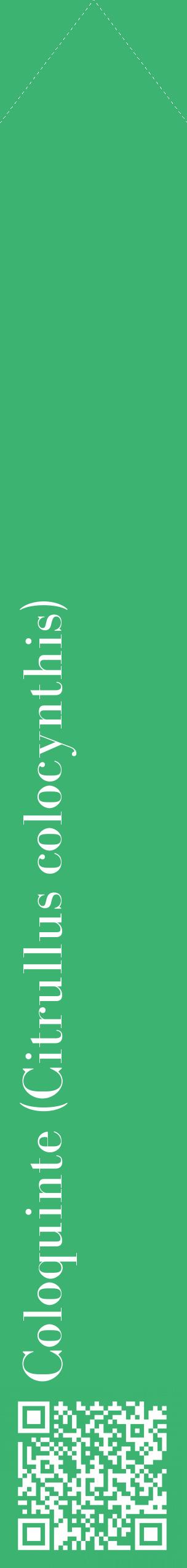 Étiquette de : Citrullus colocynthis - format c - style blanche12_simplebod avec qrcode et comestibilité