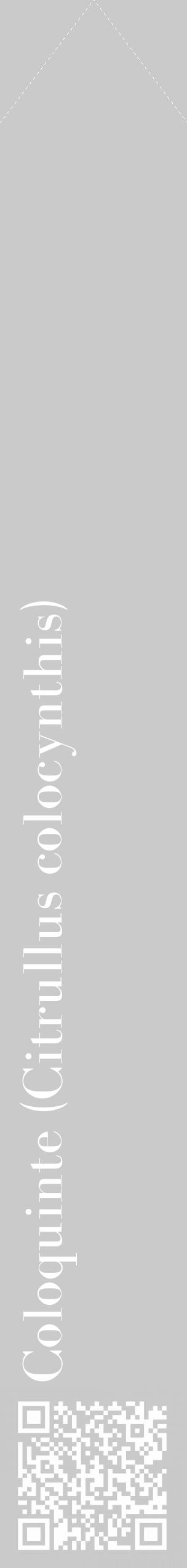 Étiquette de : Citrullus colocynthis - format c - style blanche21_simple_simplebod avec qrcode et comestibilité - position verticale